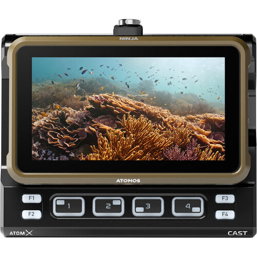 Atomos Ninja 5.2" 4K HDMI Recording Monitor - Bigtech Electronics